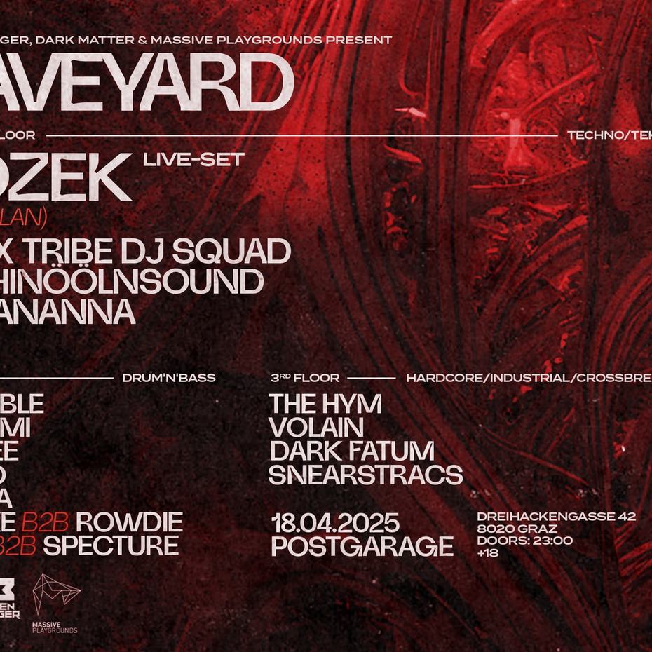 20250418_raveyard